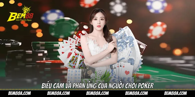 Biểu cảm và phản ứng của người chơi poker