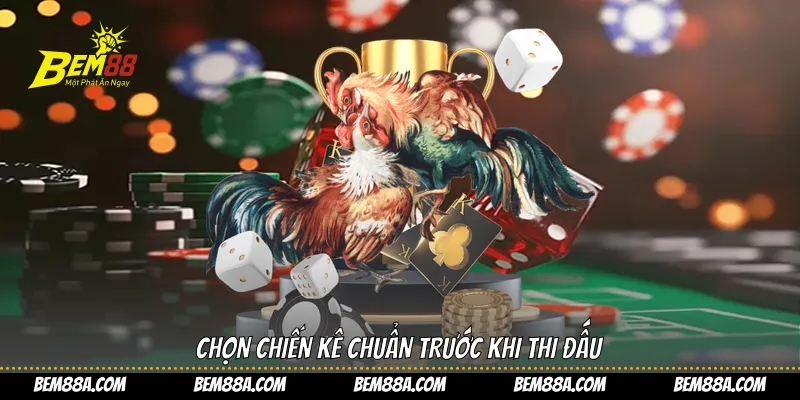 Chọn chiến kê chuẩn trước khi thi đấu