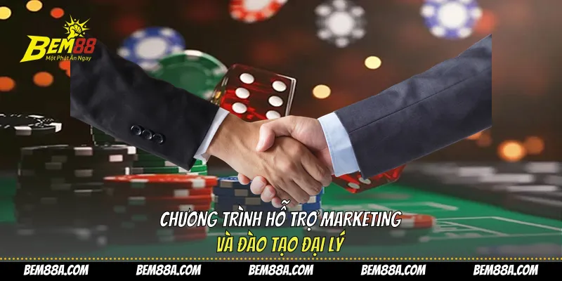 Chương trình hỗ trợ marketing và đào tạo đại lý