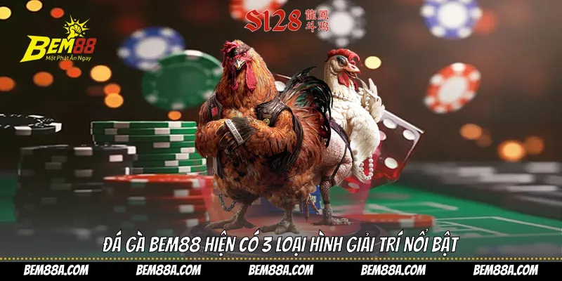 Đá gà BEM88 hiện có 3 loại hình giải trí nổi bật