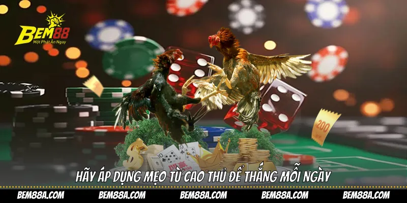 Hãy áp dụng mẹo từ cao thủ để thắng mỗi ngày