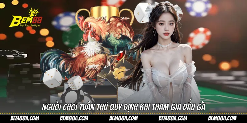 Người chơi tuân thủ quy định khi tham gia đấu gà